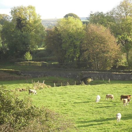 The Homecoming Barn Clogher Εξωτερικό φωτογραφία